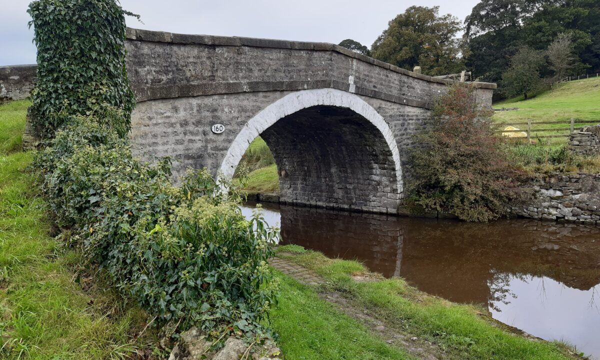 Bridge 160