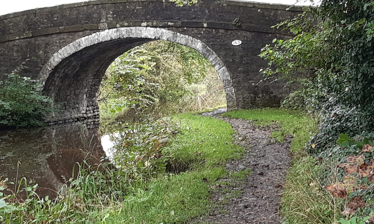 Bridge 163