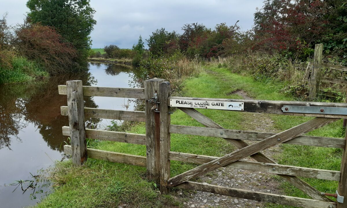 Canal gate