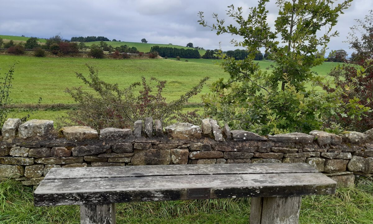Canal bench